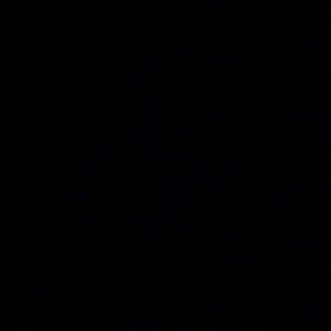 Meet your Posher, Luz